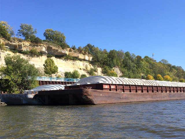 Barges wait alongside of the Mississippi River Bluffs near St. Paul, Minnesota, to be placed at river terminals and loaded with new-crop soybeans. They will then head down river to the Gulf for export, traversing many of the aging locks and dams along their journey. (DTN photo by Mary Kennedy)